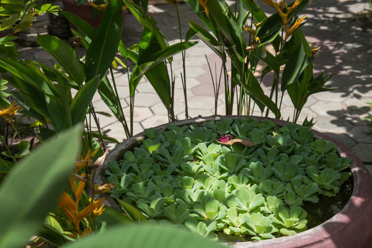 Side Walk Hotel Siem Reap Eksteriør bilde
